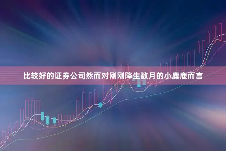 比较好的证券公司然而对刚刚降生数月的小麋鹿而言