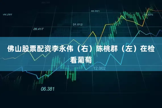 佛山股票配资李永伟（右）陈桃群（左）在检看葡萄