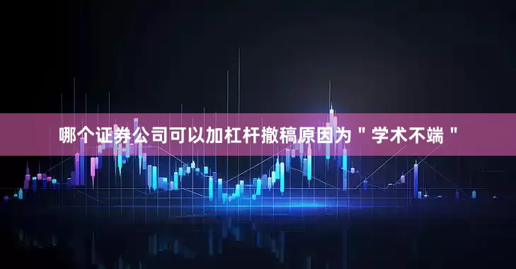 哪个证券公司可以加杠杆撤稿原因为＂学术不端＂