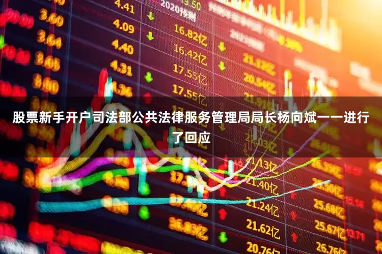 股票新手开户司法部公共法律服务管理局局长杨向斌一一进行了回应
