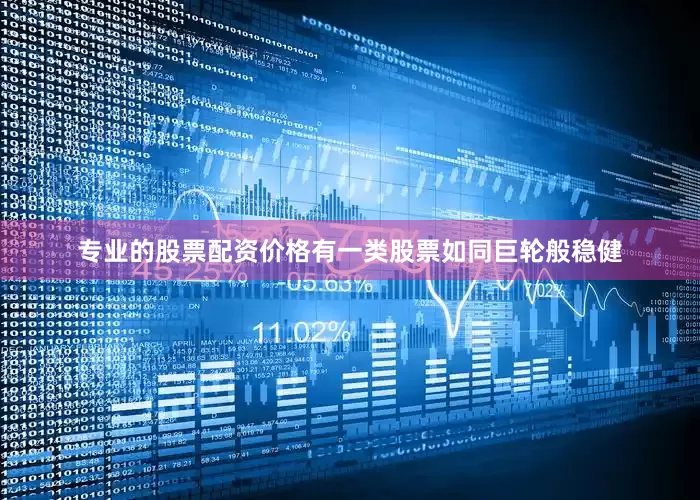 专业的股票配资价格有一类股票如同巨轮般稳健
