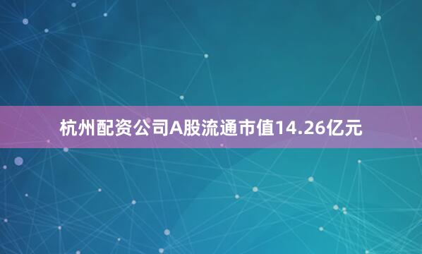 杭州配资公司A股流通市值14.26亿元